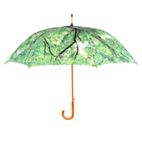 Grüner Regenschirm Grün - Regenschirme Online Bestellen