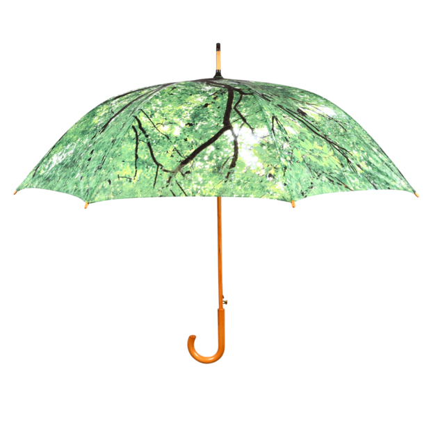Regenschirme durchsichtig kaufen regenschirmkaufen.de Regenschirme