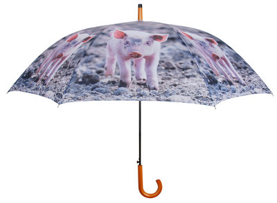 Schweinchen Regenschirm