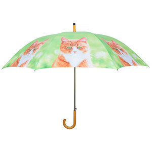 Katze Regenschirm - Orange